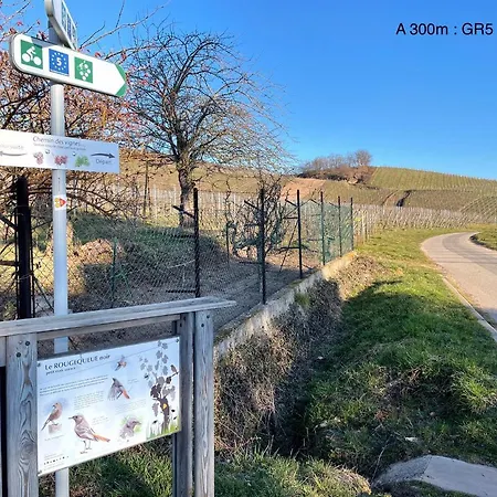 Le Refuge Du Rempart Dambach
