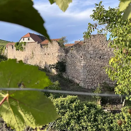 Le Refuge Du Rempart Dambach