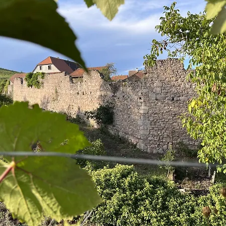 Le Refuge Du Rempart بيت ضيافة Dambach