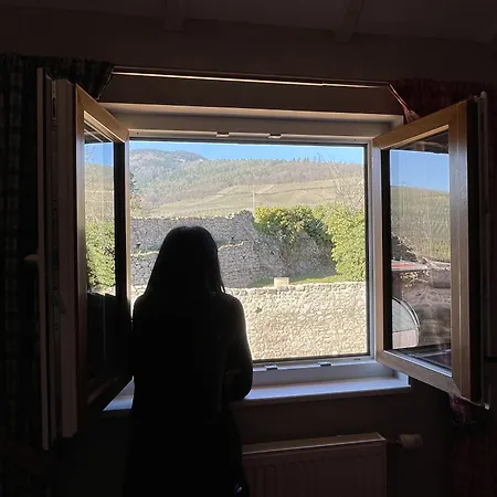 Le Refuge Du Rempart 4* Dambach